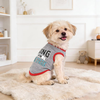 Variety of funny printed patterns in dog shirt set
