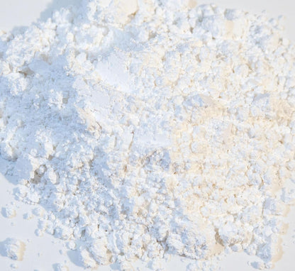 Zoo Med calcium supplement powder for reptiles