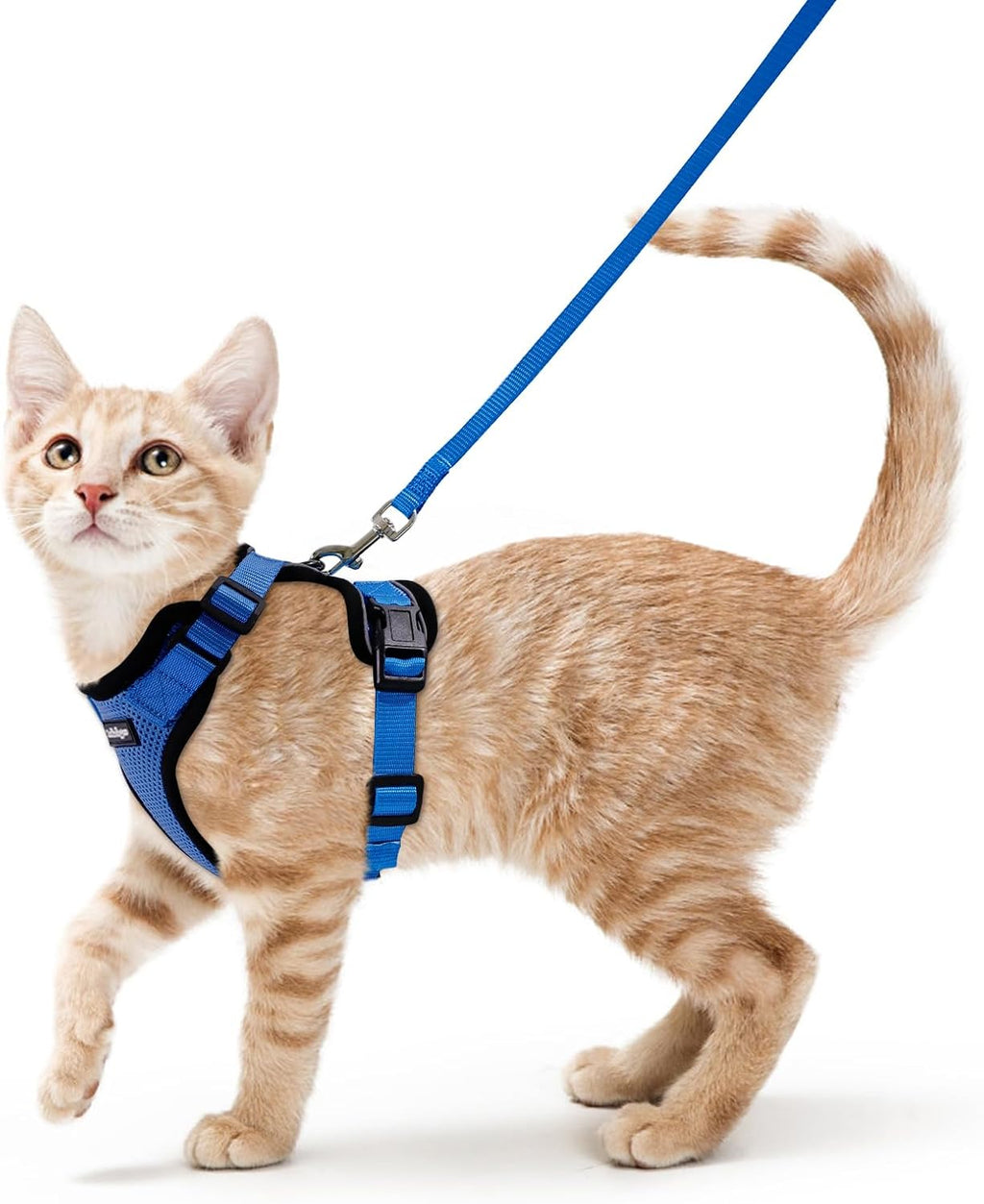rabbitgoo Escape Proof Cat Harness and Leash Set, Xs, Black | 4-point Adjustable, Quick-snap Buckles, All-weather Mesh, Secure Leash Clip, Reflective Strips, for Small & Average Cats - Image 13