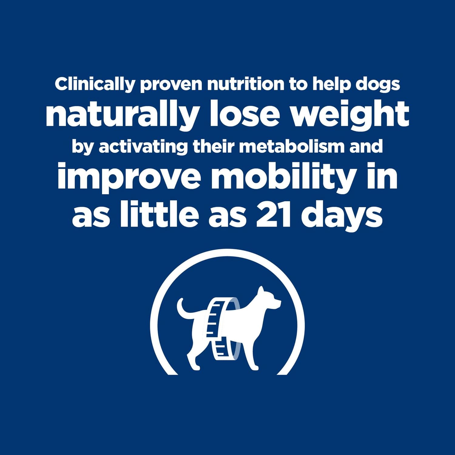 Veterinary diet chicken flavor dog food for obesity management