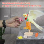 Close-up of bird intelligence toys made with safe natural wood