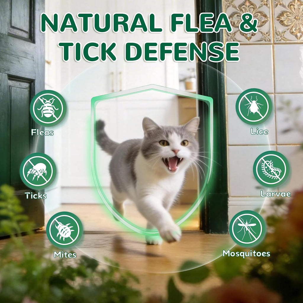 USA imported cat flea and tick supplement bottle ingredients list close up