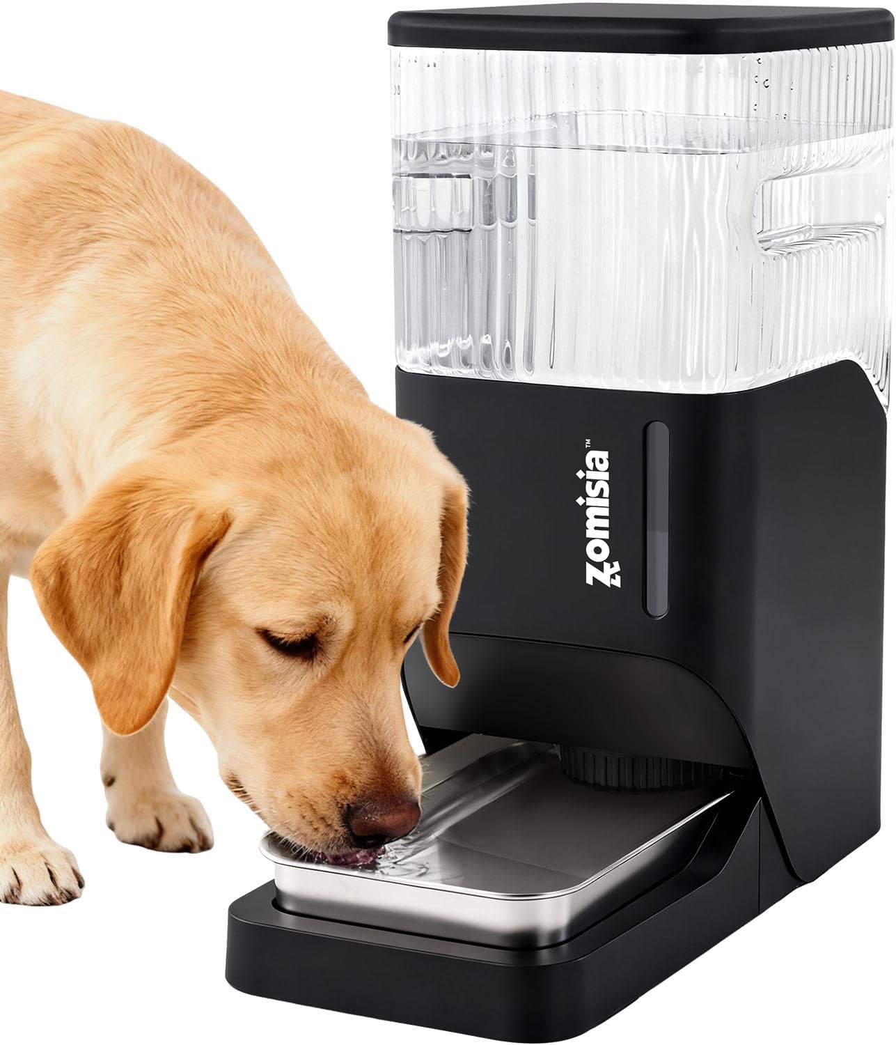 ZOMISIA Automatic Dog Water Dispenser 8L with Stainless Steel Bowl, Gravity Large Capacity Water Bowl for Dogs, 2 Gallon Pet Waterer 100% BPA Free, Black - Image 10