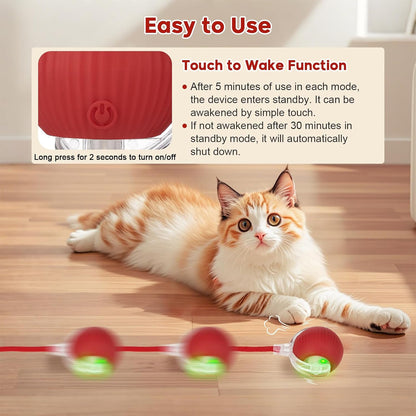 Utroni rechargeable red pet ball in motion