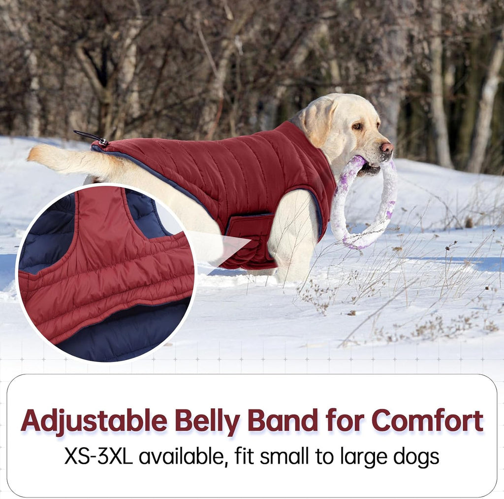 Water resistant fabric test on the Lelepet windproof dog jacket shell