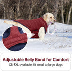 Water resistant fabric test on the Lelepet windproof dog jacket shell