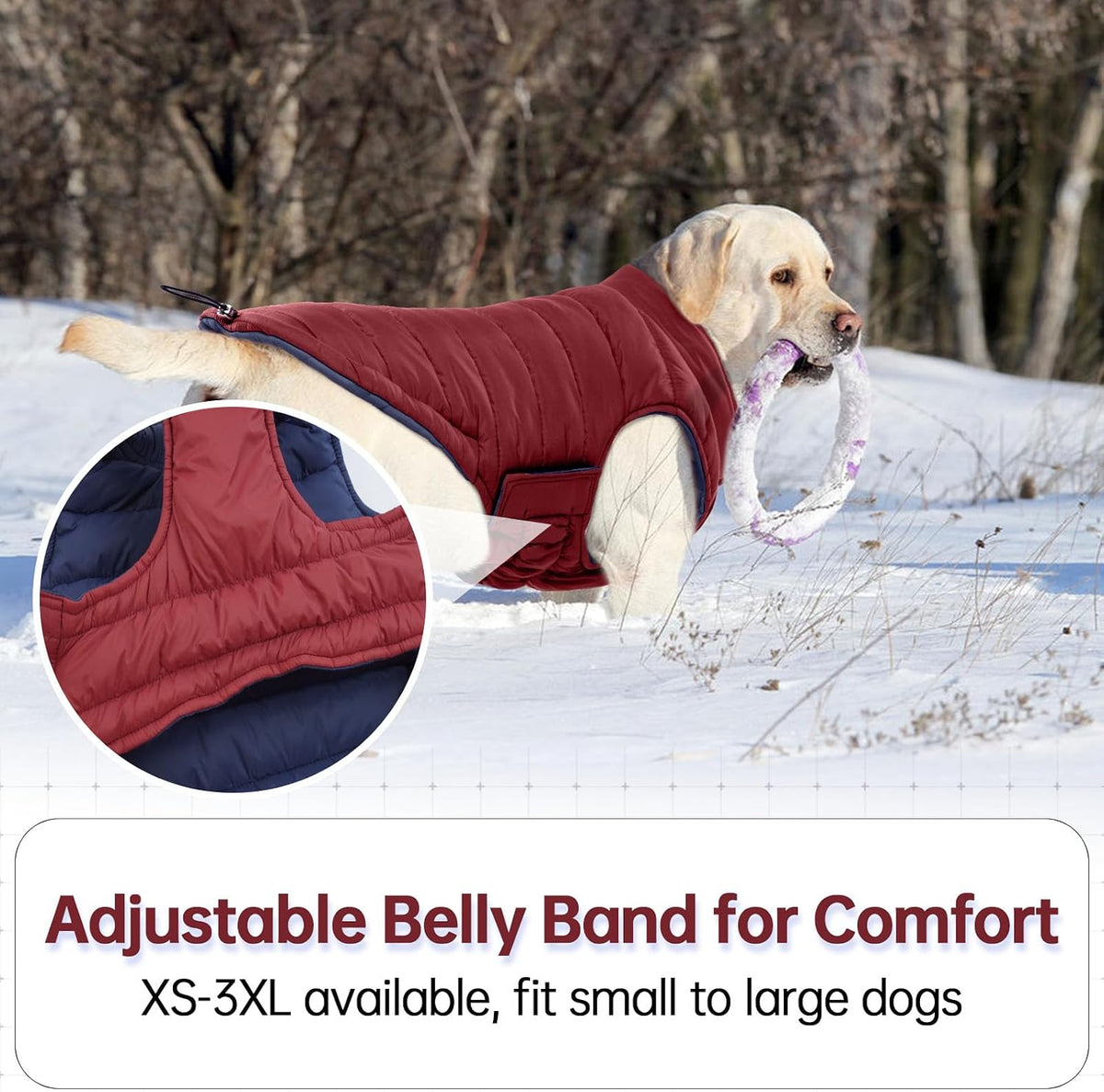 Water resistant fabric test on the Lelepet windproof dog jacket shell