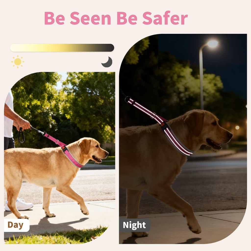 Durable D-ring attachment on the Mayerzon dog walking collar