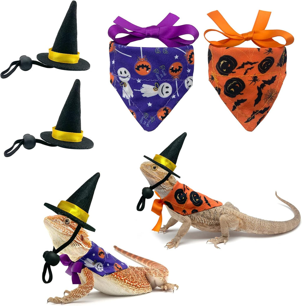 Vehomy Halloween bearded dragon witch costume front view showing hats and bandanas