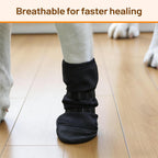 Side view of Letsqk protective dog boot on Golden Retriever