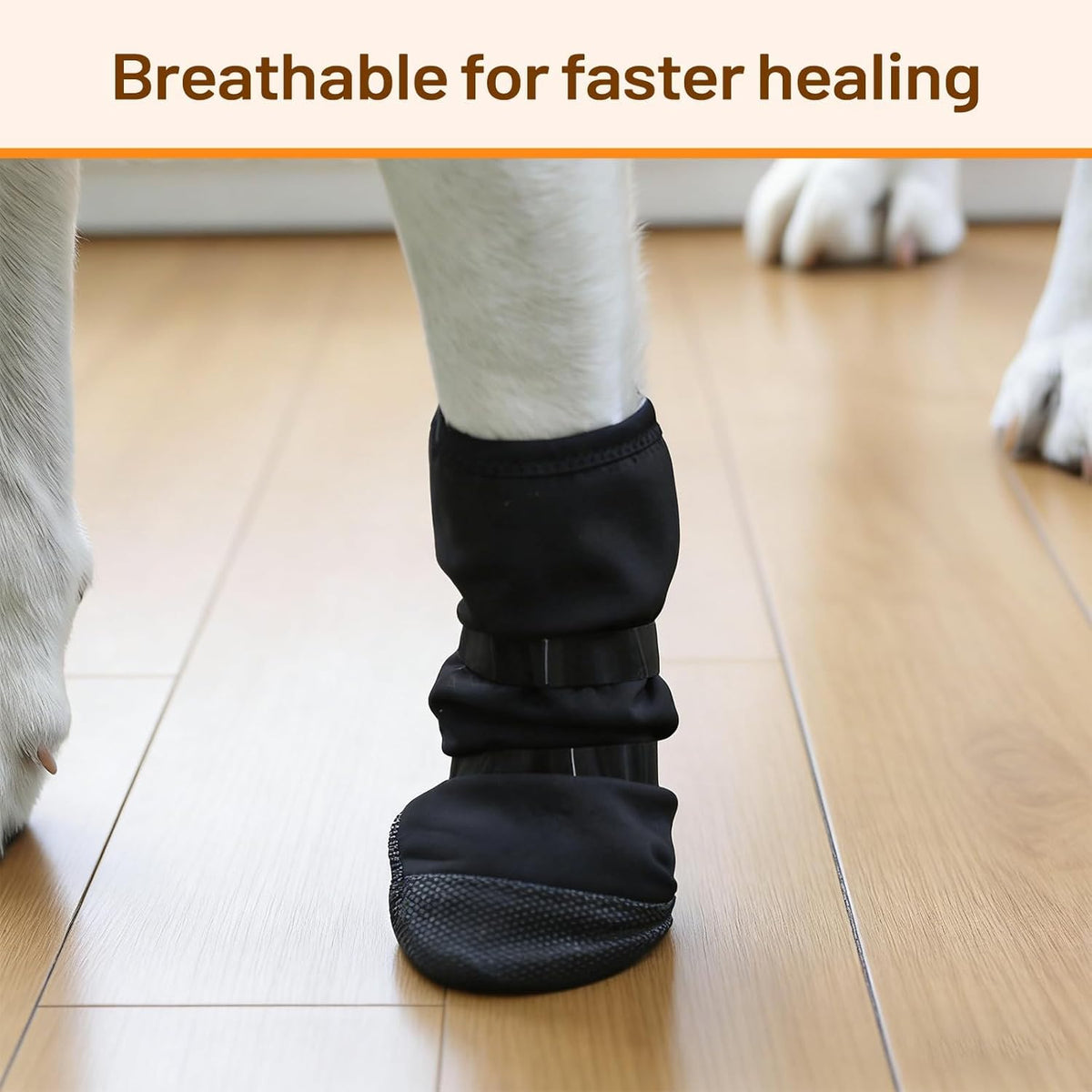 Side view of Letsqk protective dog boot on Golden Retriever