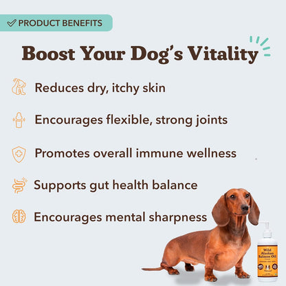 Natural Dog Company salmon oil sixteen ounce bottle showing Omega three benefits