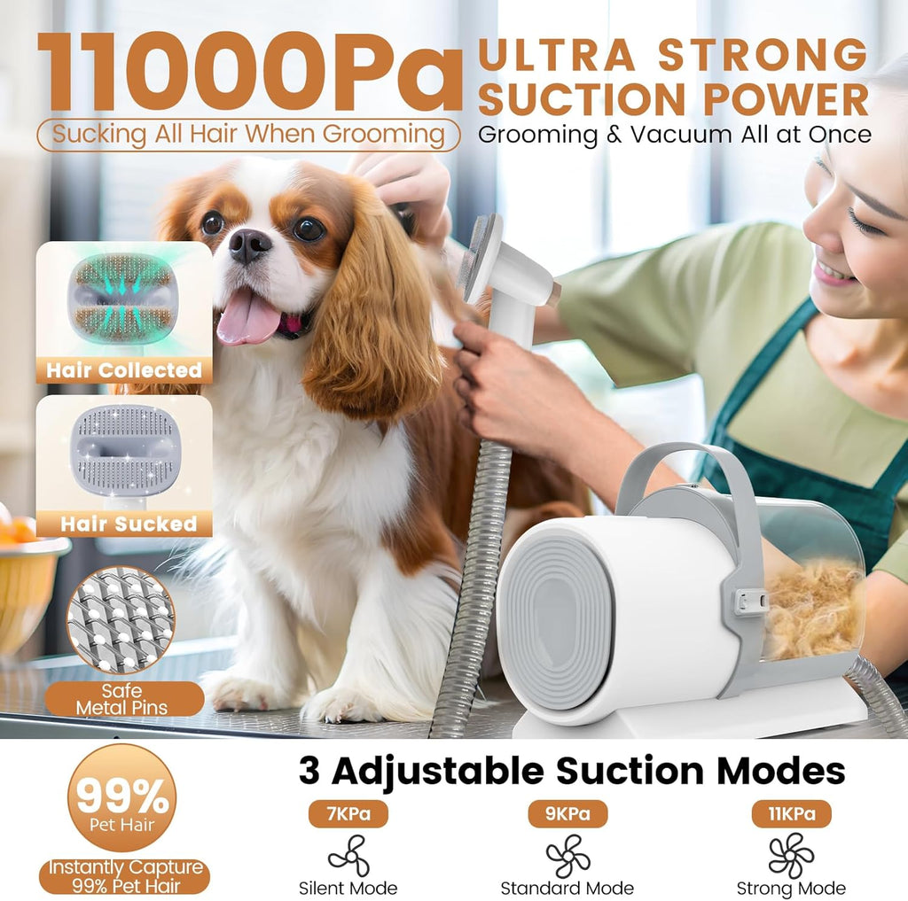 FIXR dog hair vacuum electric clippers with four guide combs for length adjustment