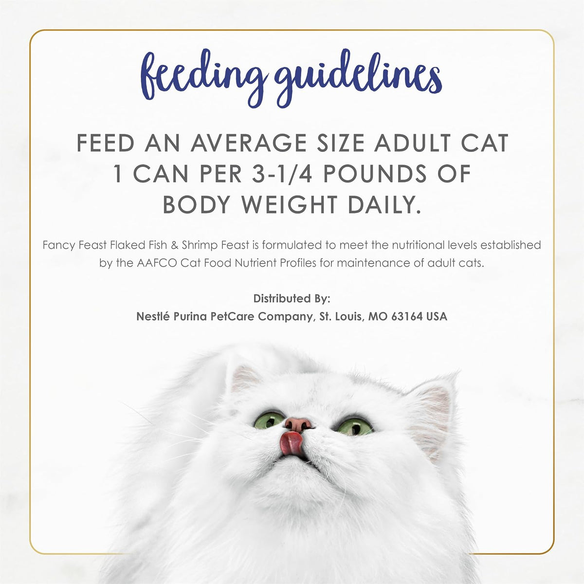 Cat enjoying a serving of Fancy Feast wet cat food