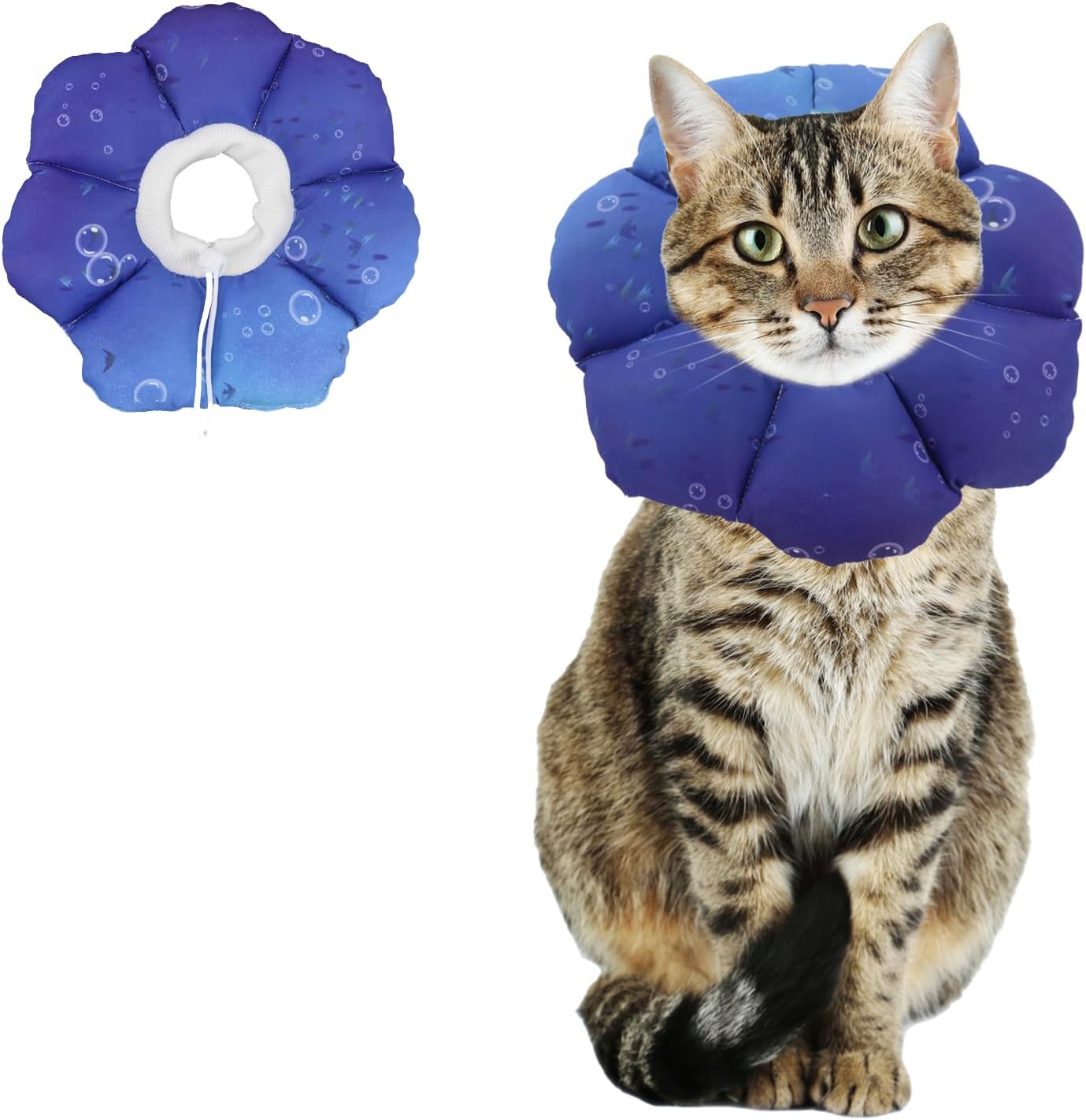 USA imported lightweight cat neck cone for wound protection