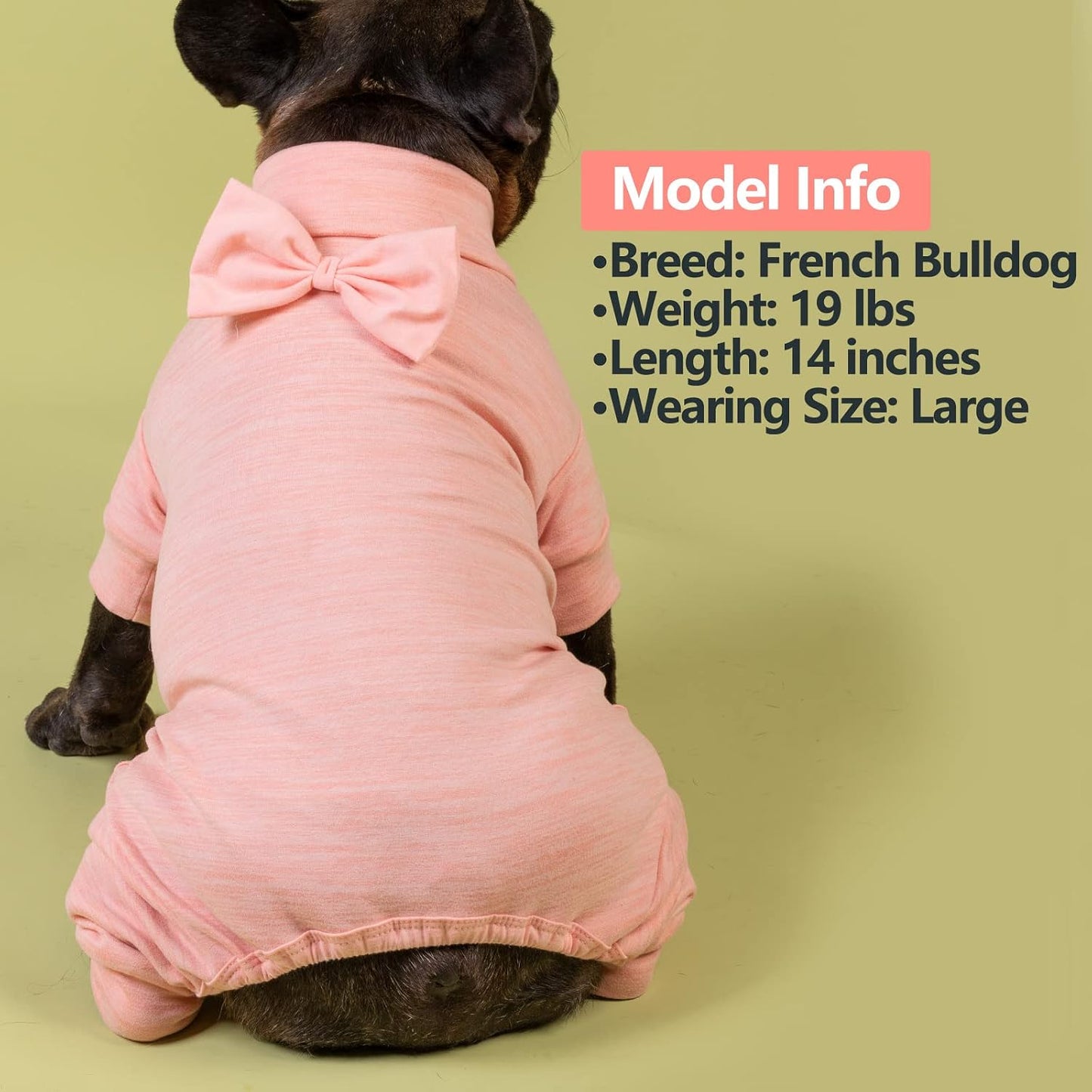 Side profile of small dog wearing pink velvet onesie