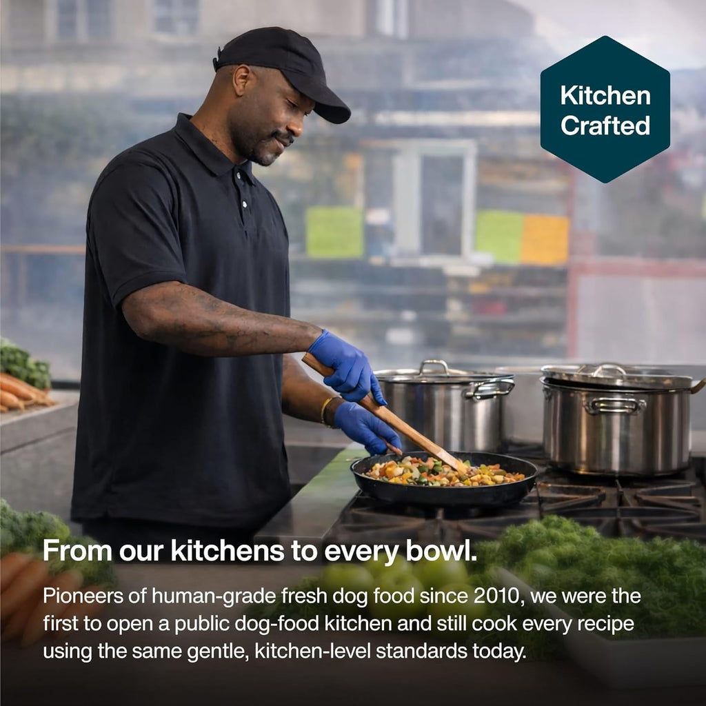 Authentic USA imported fresh wet dog food topper poured over dry kibble in a bowl.