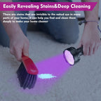 EverBrite 128 LED ultraviolet torch detecting hidden pet urine stains on a living room carpet.
