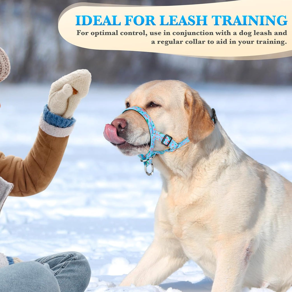 Premium blue pet halter leash control setup for hiking and outdoor walks