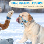 Premium blue pet halter leash control setup for hiking and outdoor walks