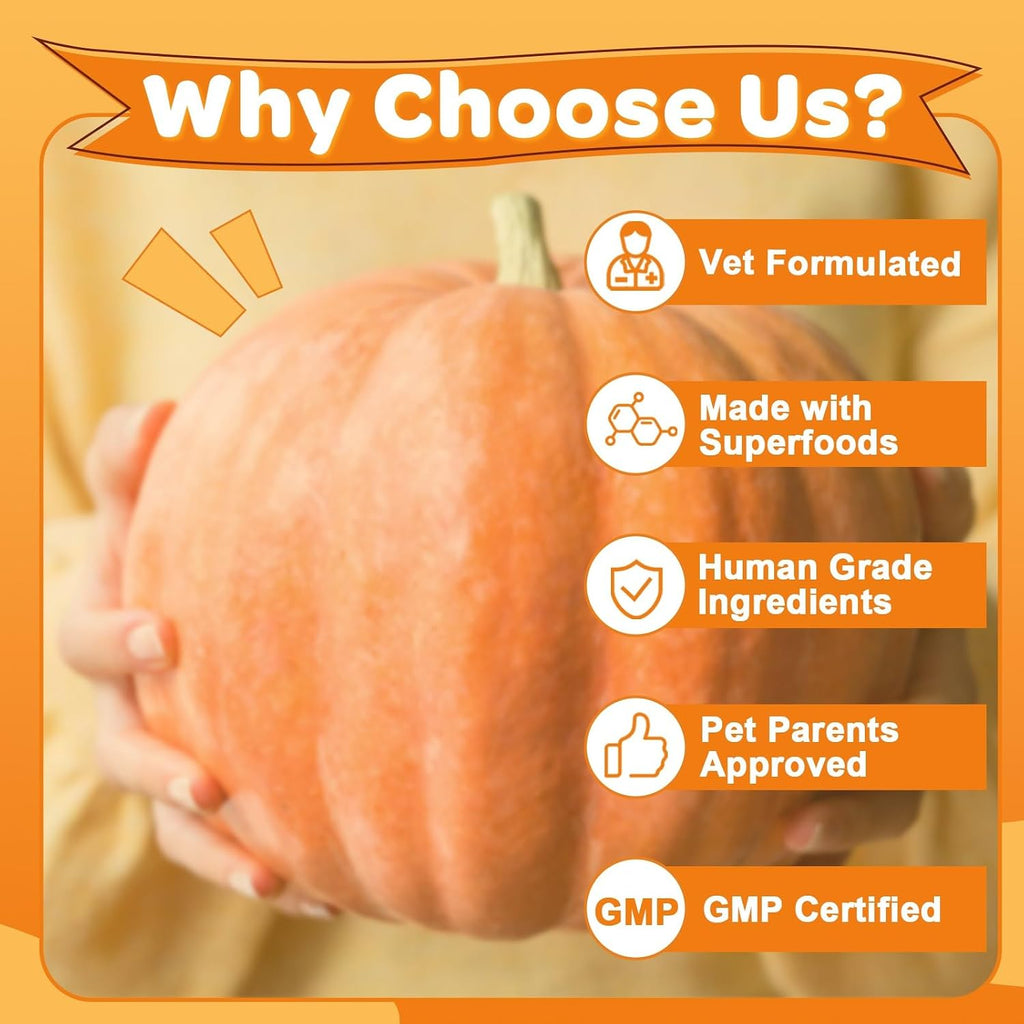 Pumpkin puree made from Zebora supplement in a bowl