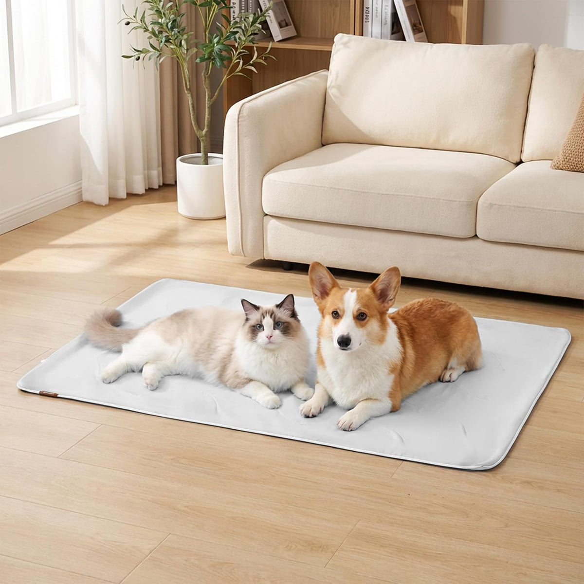 ZOMISIA Cooling Blanket for Medium Dogs - Lightweight Dog Cooling Mat with Breathable Air-Core Fill, Cold Pet Throw Blanket Washable for Summer, Soft Bed Cover, Blue, 30"x40" - Image 9