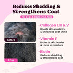 BuddyCheer liquid pet collagen for dogs and cats being added to pet food for joint support