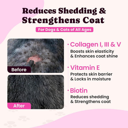 BuddyCheer liquid pet collagen for dogs and cats being added to pet food for joint support