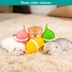 YeulYuuri small animal nursing bottle with the pacifier detached for easy cleaning.