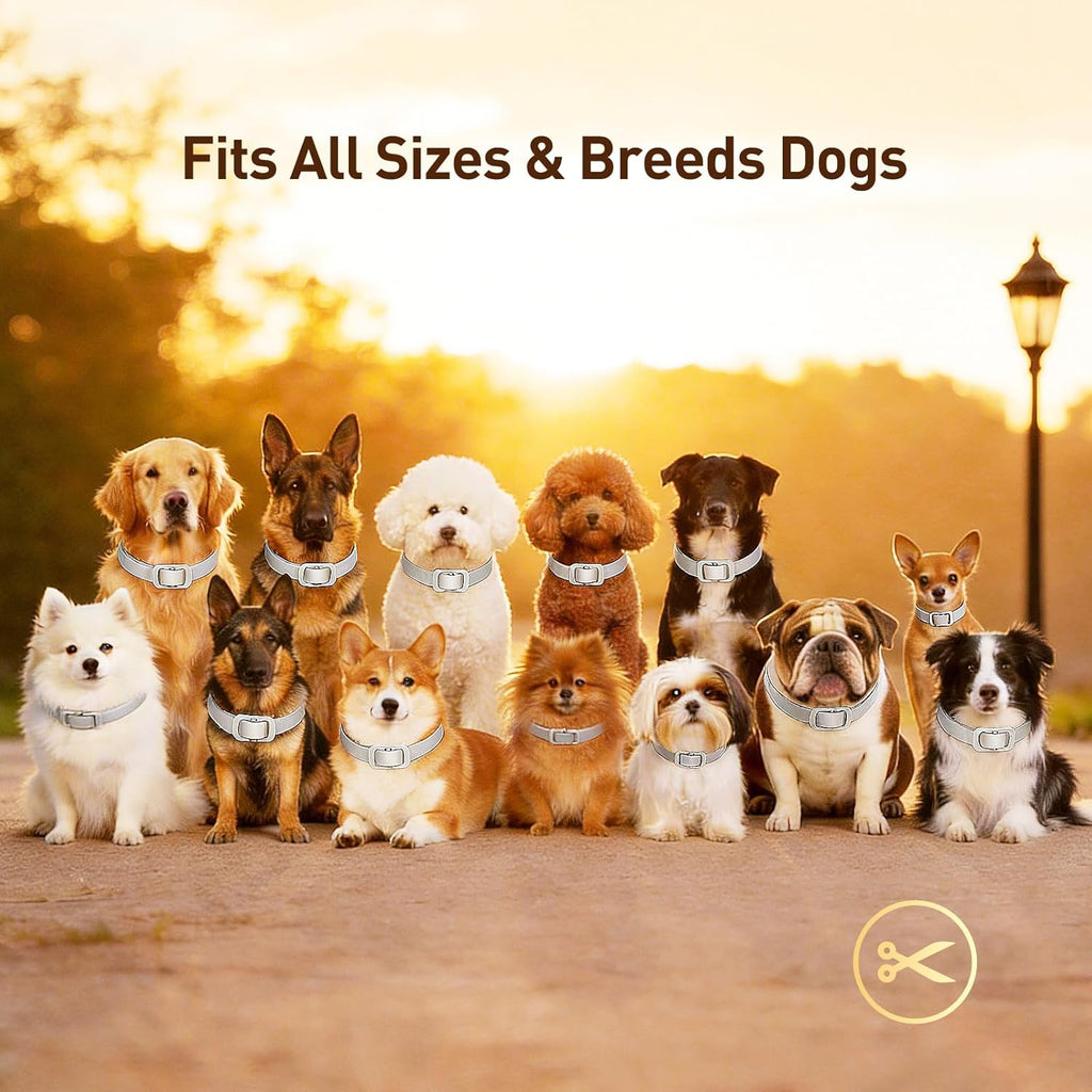 Adjustable gray flea collar for puppies and adult dogs
