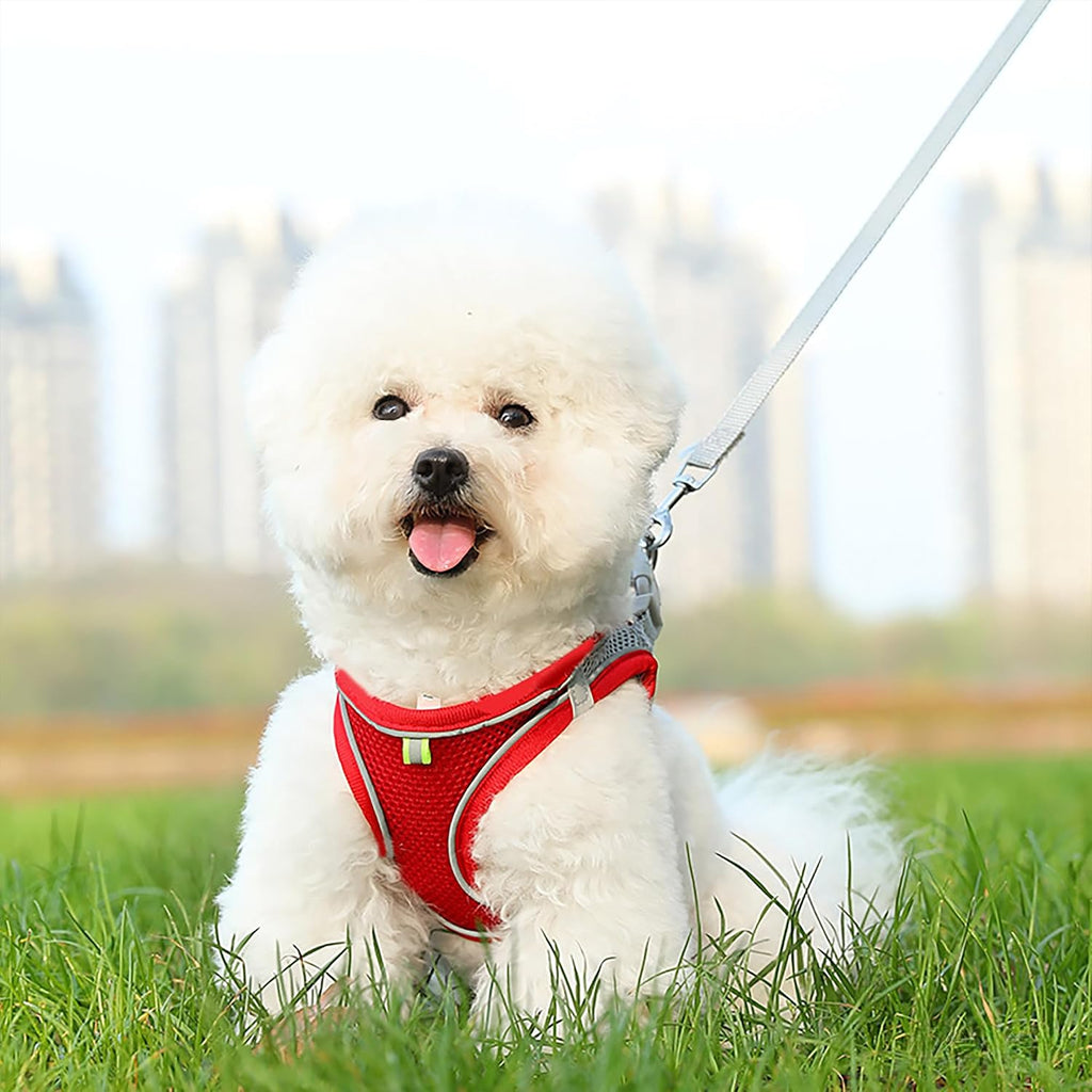 Adjustable pet harness with reflective safety strips
