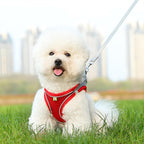 Adjustable pet harness with reflective safety strips