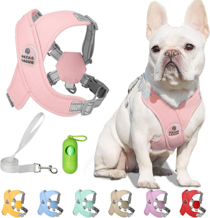 Patas Lague authentic USA imported dog harness and leash set full packaging