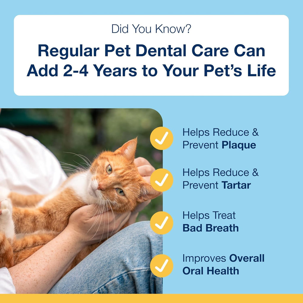 ProDen PlaqueOff natural dental powder container label details