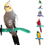 Sweet Feet and Beak Safety Pumice Bird Perch, Small Pedicure Perch, Green - Image 1