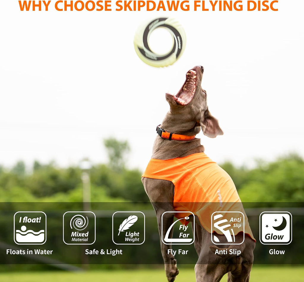 Skipdawg 9 inch dog training disc floating on water