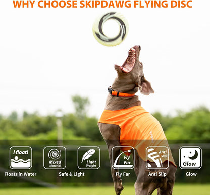Skipdawg 9 inch dog training disc floating on water