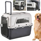 Generic large travel dog crate front view showing the secure metal wire door.