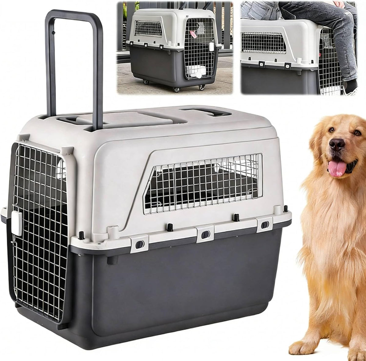 Generic large travel dog crate front view showing the secure metal wire door.