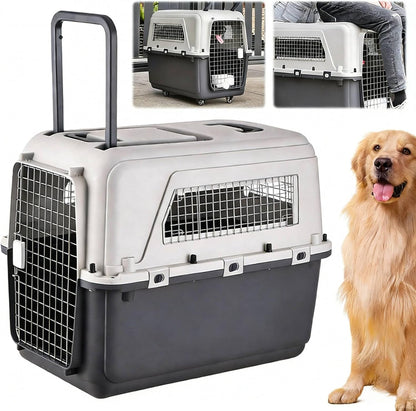 Generic large travel dog crate front view showing the secure metal wire door.