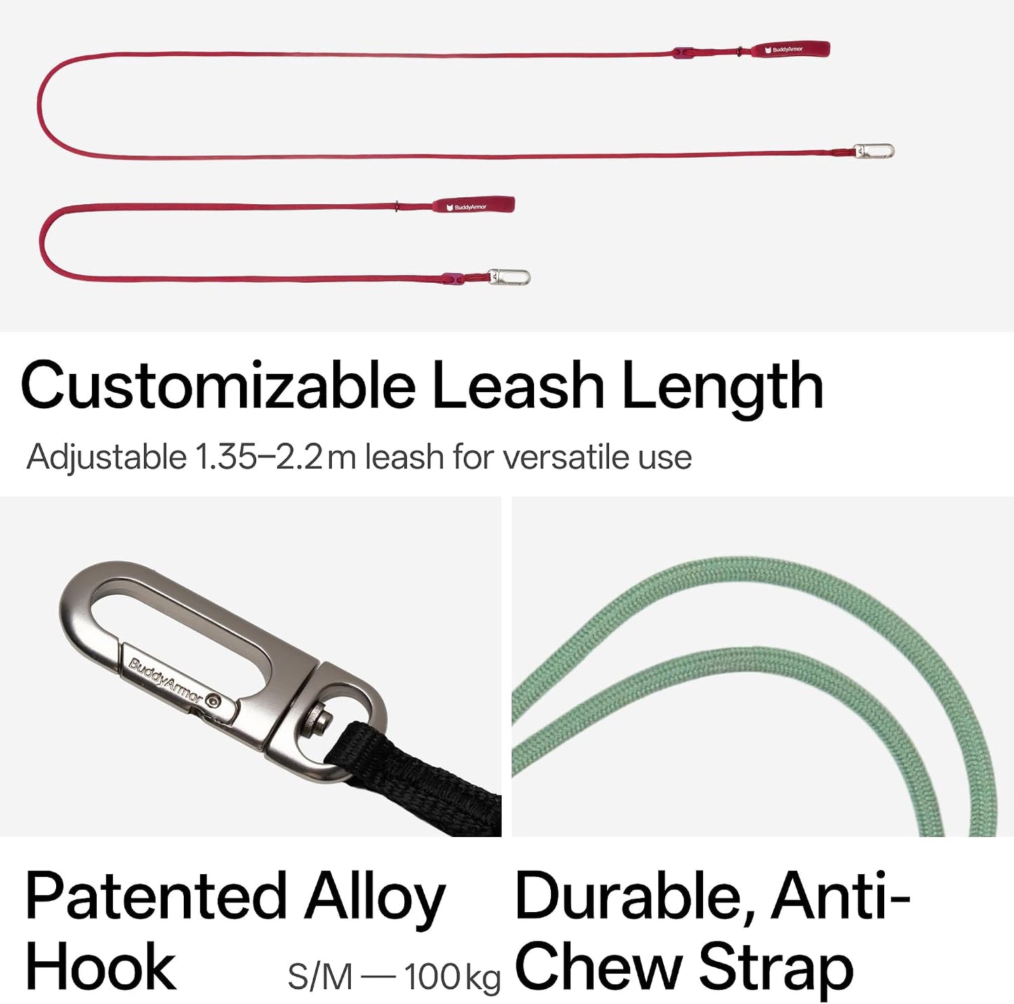 Cat walking outdoors with olive green leash