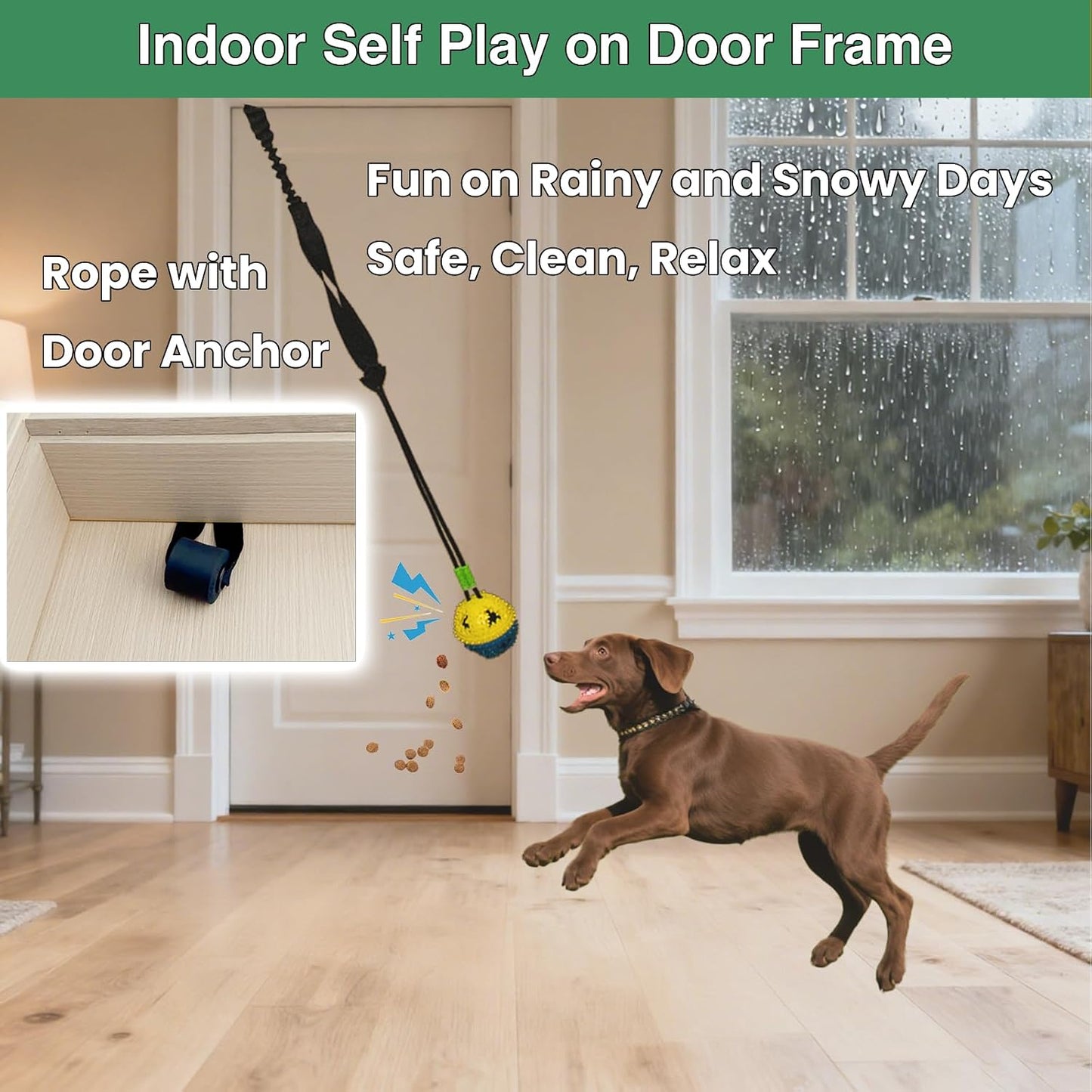 Hanging spring pole dog toy mounted securely to an outdoor tree branch for yard exercise