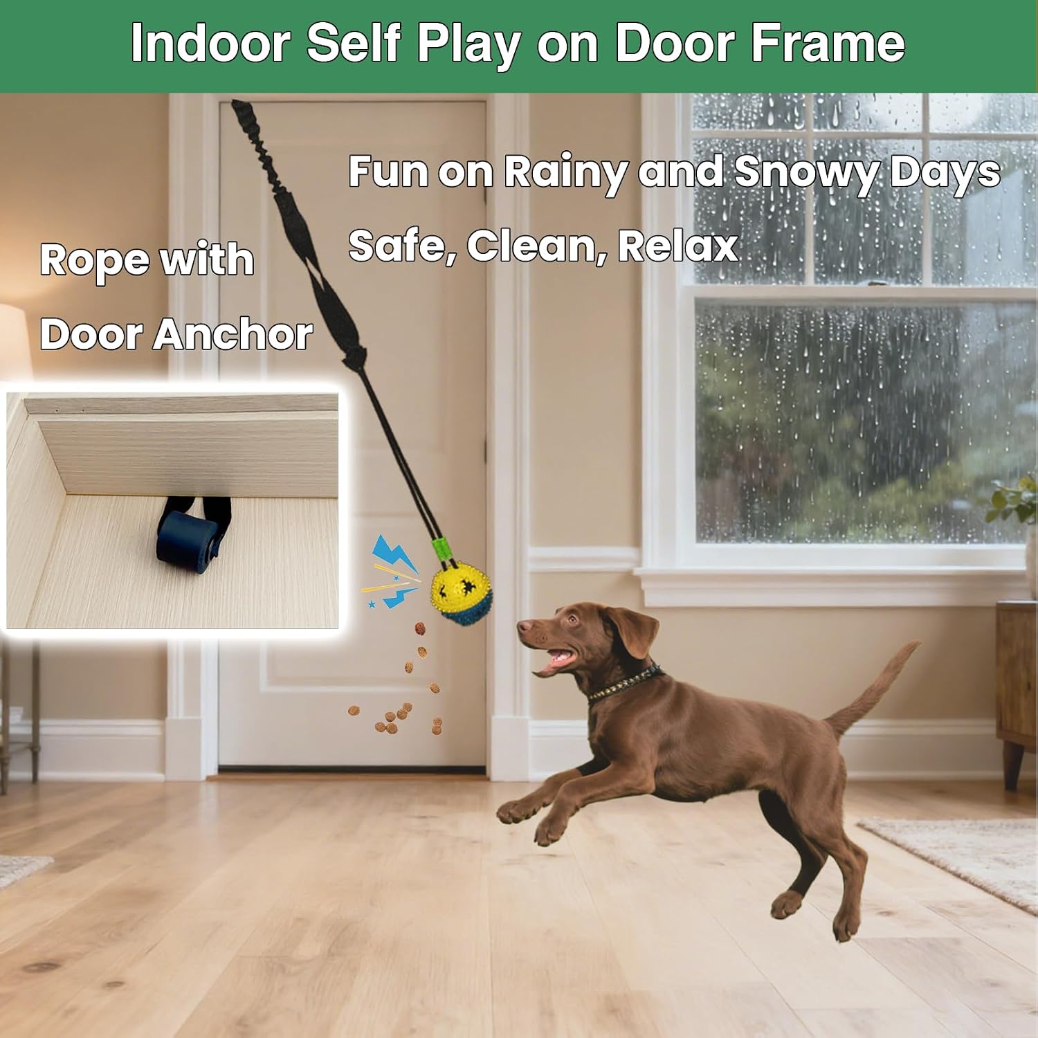 Hanging spring pole dog toy mounted securely to an outdoor tree branch for yard exercise