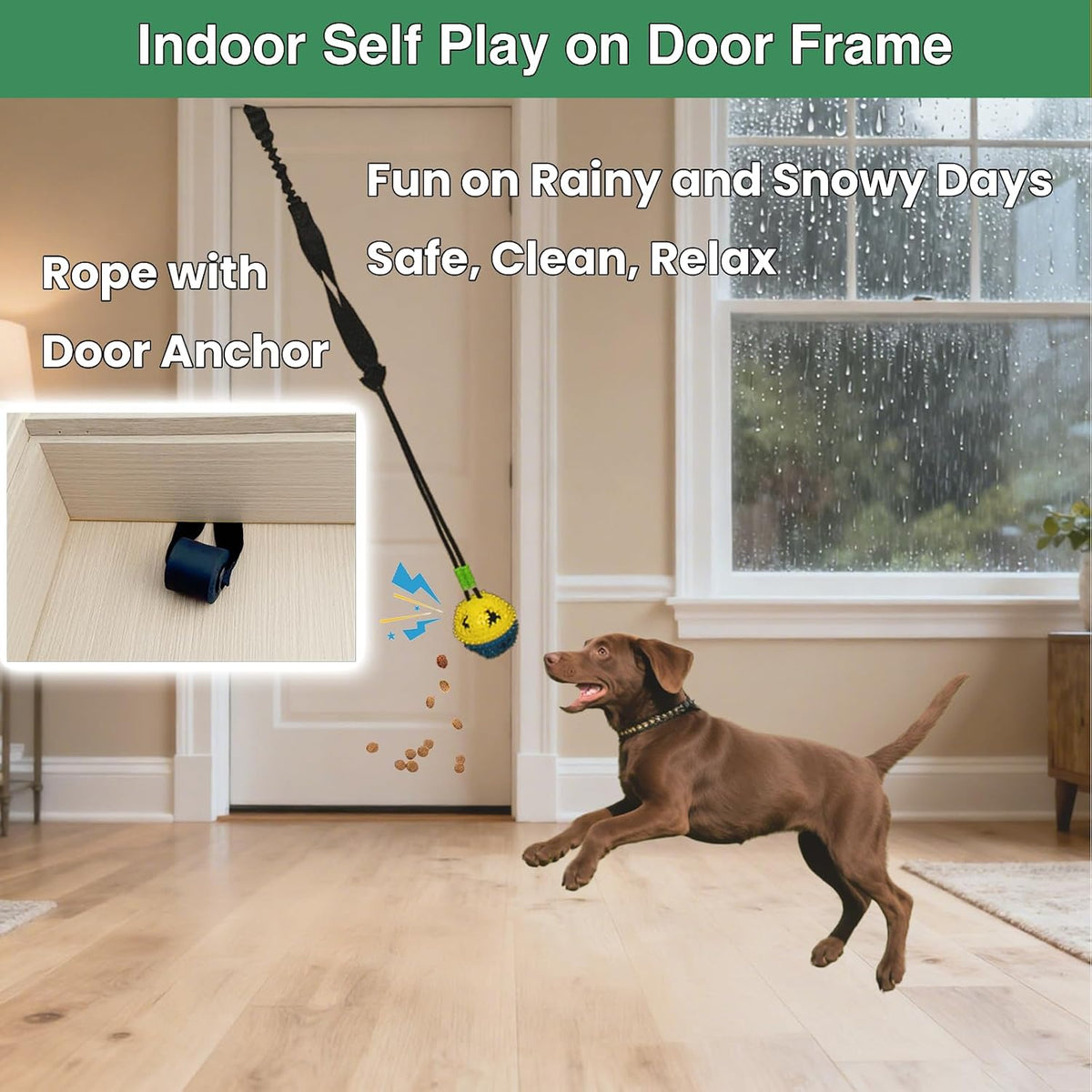 Hanging spring pole dog toy mounted securely to an outdoor tree branch for yard exercise