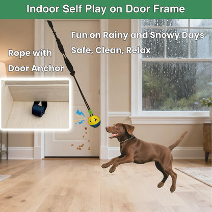 Hanging spring pole dog toy mounted securely to an outdoor tree branch for yard exercise