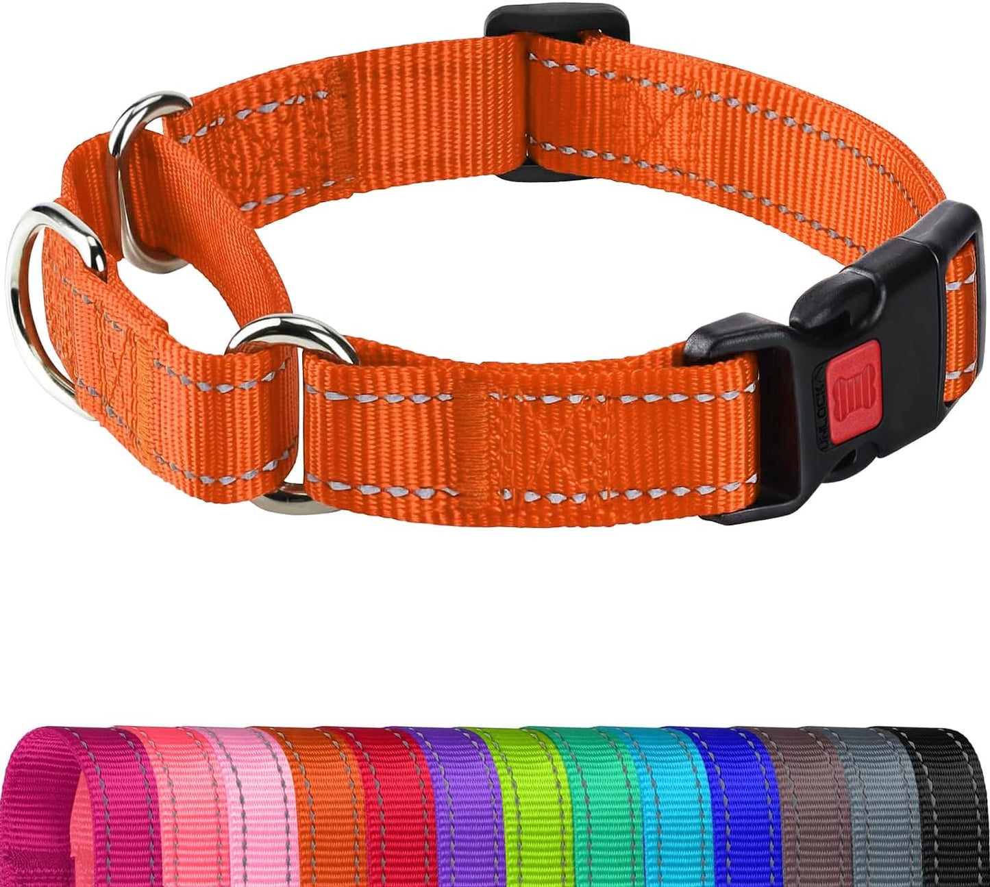 Joytale martingale collar metal D-ring attachment side angle view for leash safety