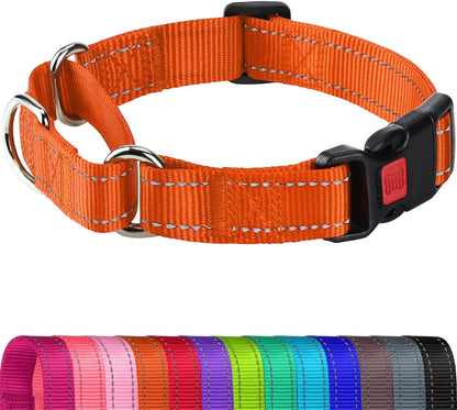Joytale martingale collar metal D-ring attachment side angle view for leash safety
