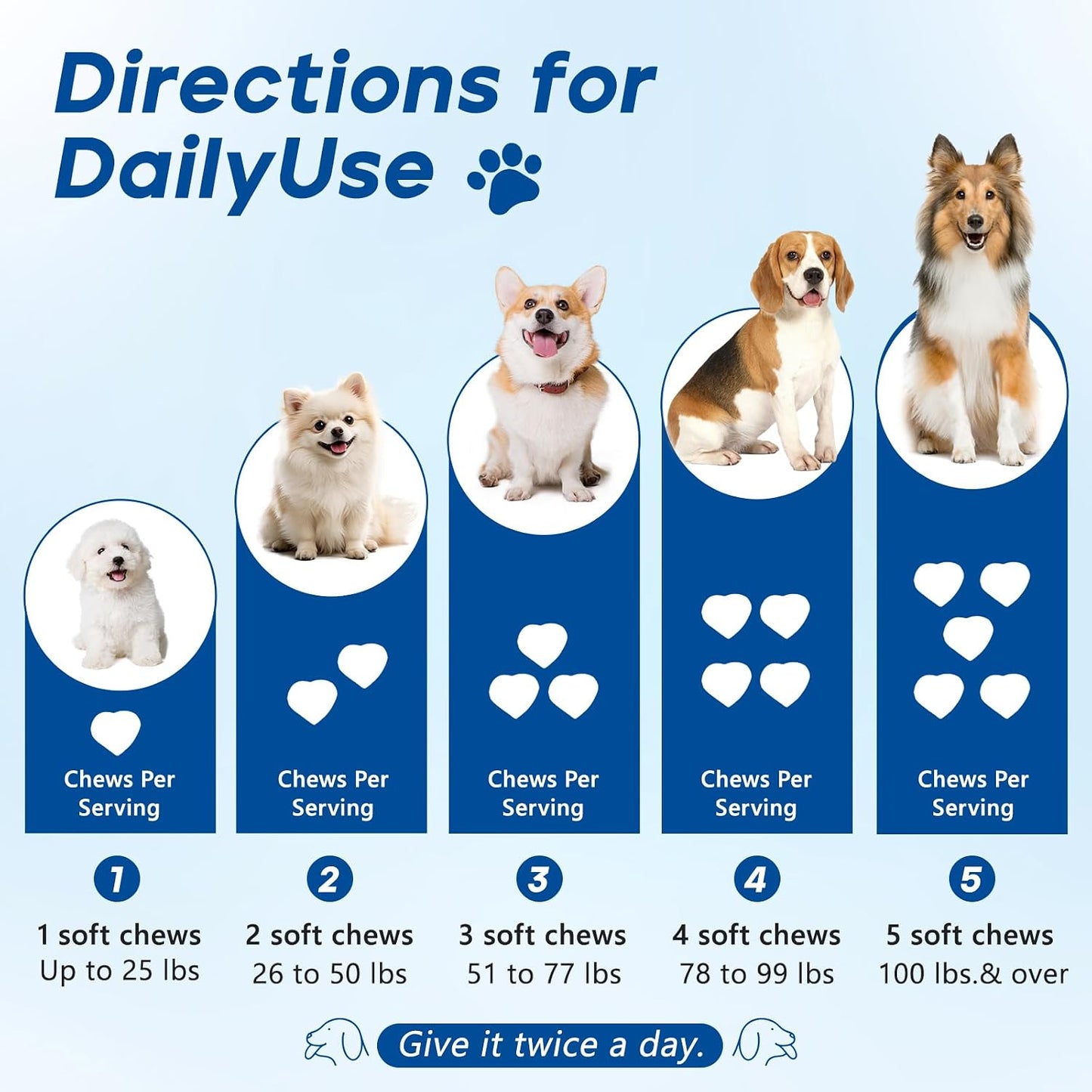 GuruAmi prebiotics and enzymes supplement bottle back label dosage chart