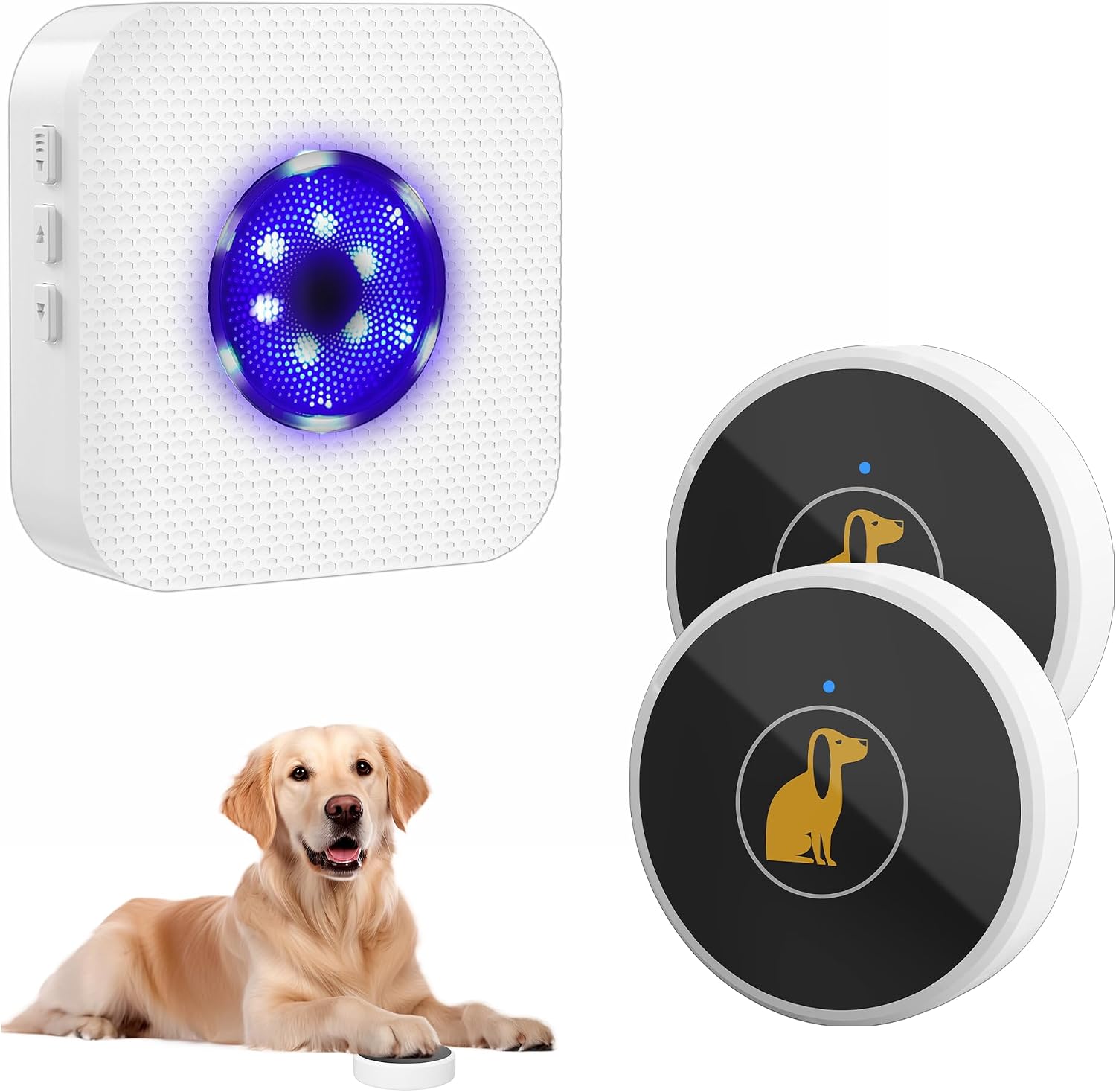 Receiver and transmitter setup for pet communication