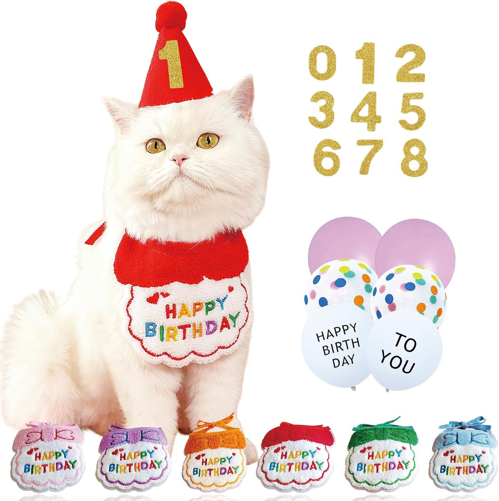 Blue cat birthday celebration kit with balloons